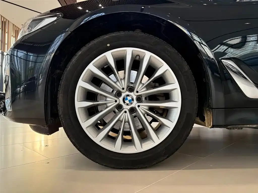 BMW 5 Series 2024 из CN, фото 5