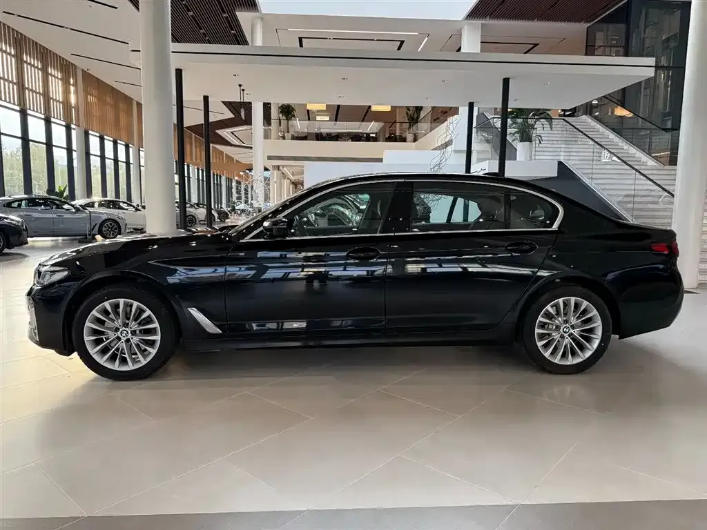 BMW 5 Series 2024 из CN, фото 7