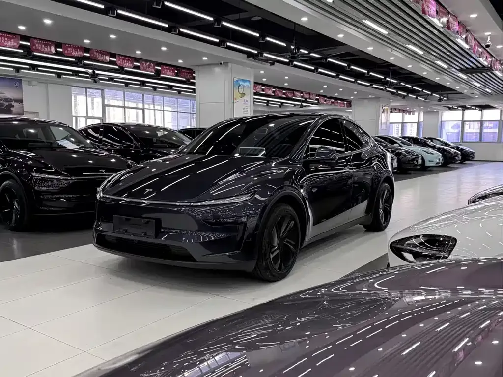 Tesla Model Y — фото 1