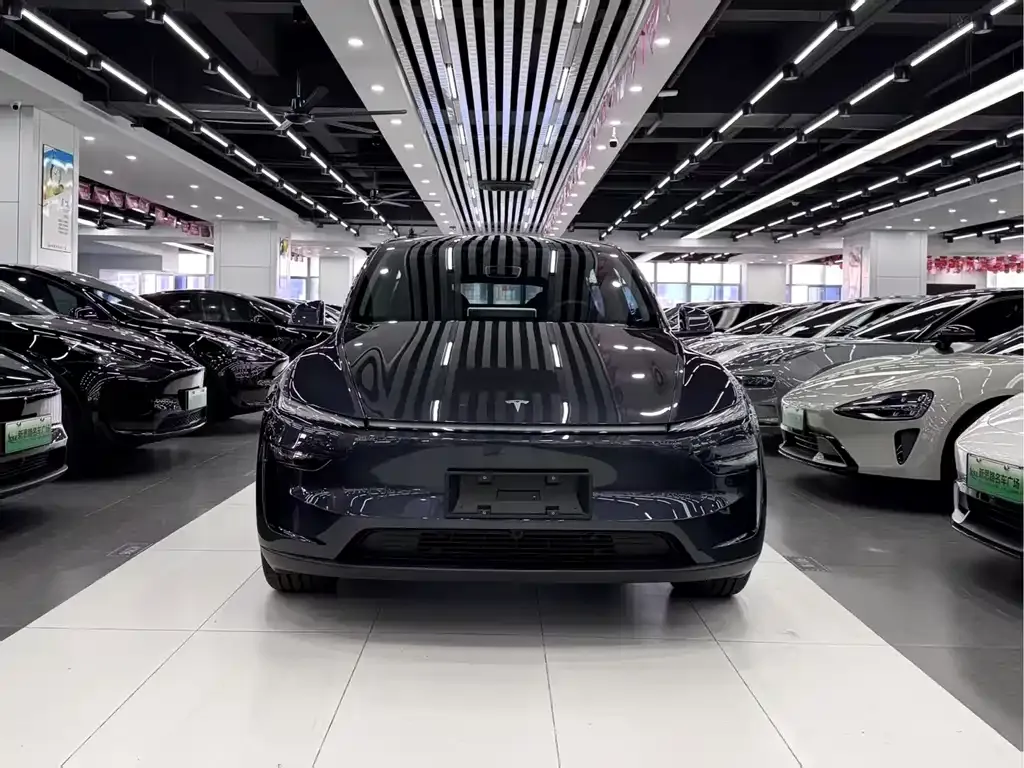 Tesla Model Y — фото 2