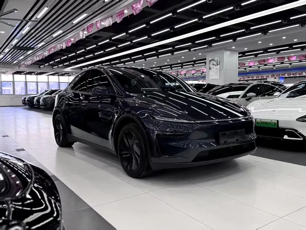 Tesla Model Y — фото 3