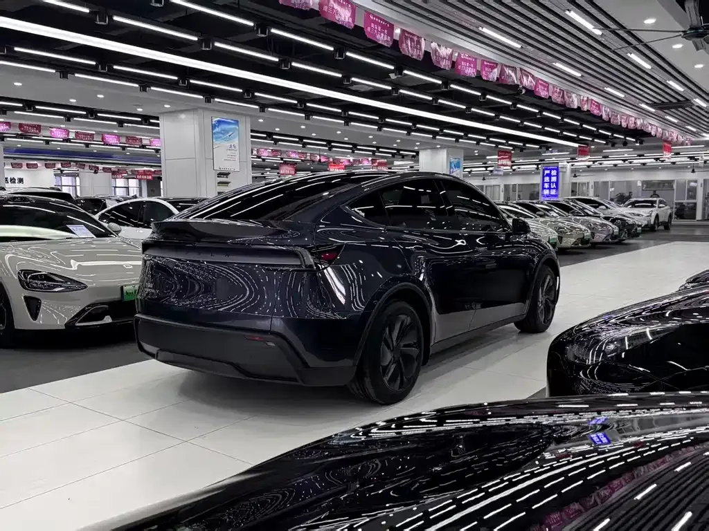 Tesla Model Y — фото 7