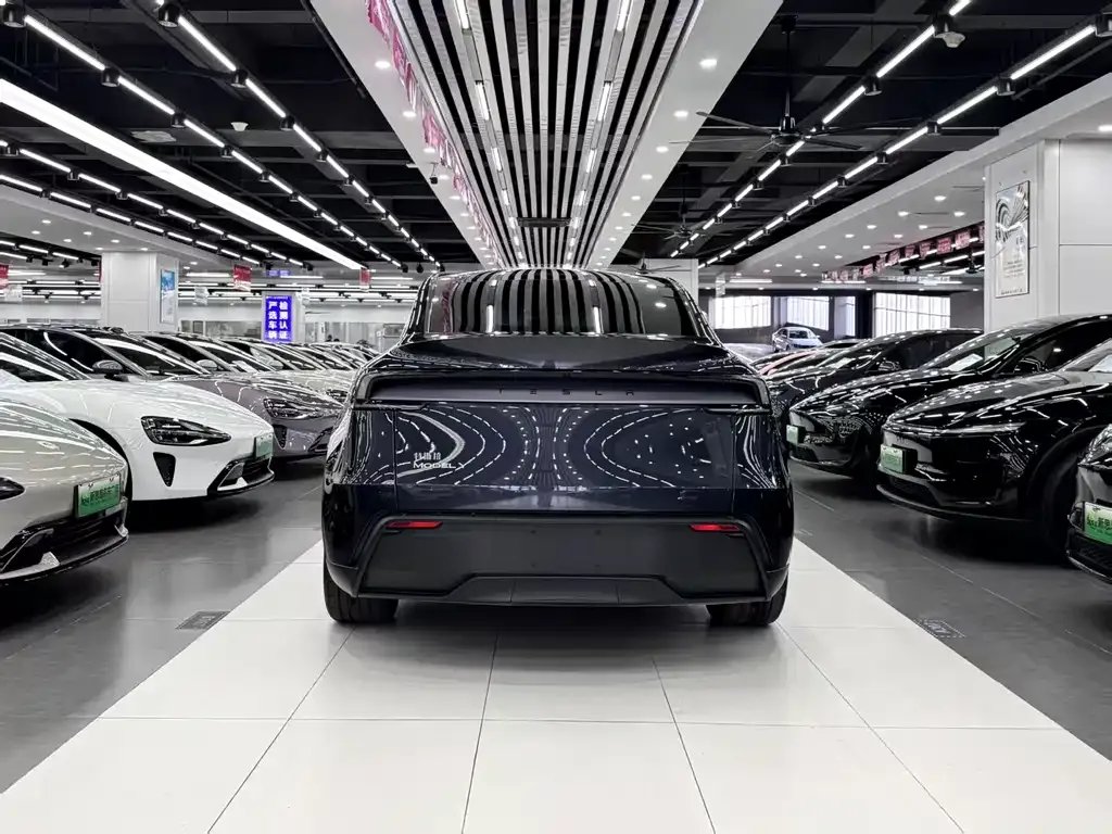 Tesla Model Y — фото 8