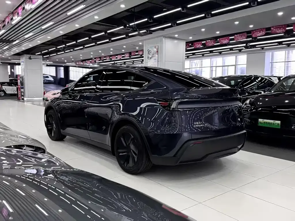 Tesla Model Y — фото 9
