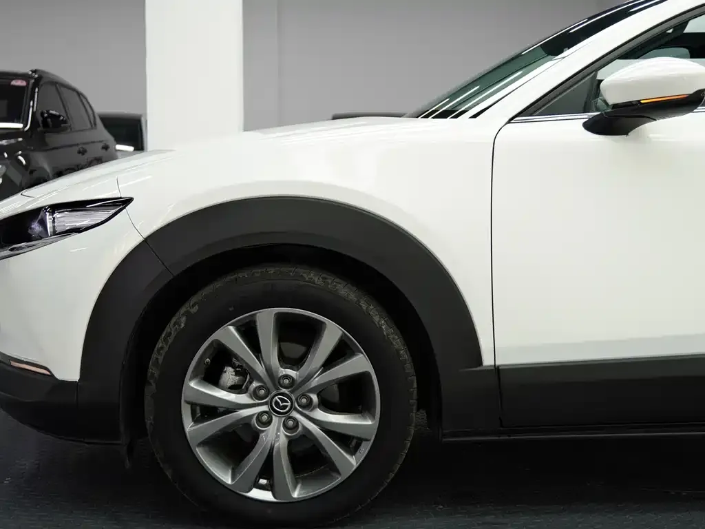 Mazda CX-30 2022 из CN, фото 8