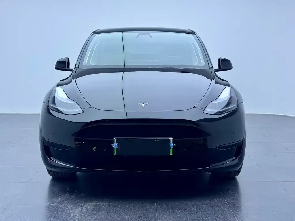Tesla Model Y 2023 из CN, фото 2
