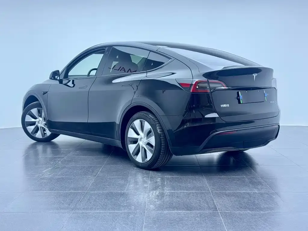 Tesla Model Y 2023 из CN, фото 5
