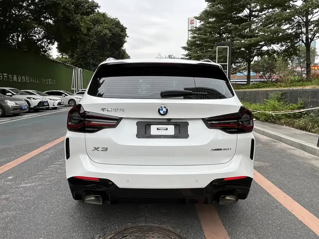 BMW X3 2022 из CN, фото 6