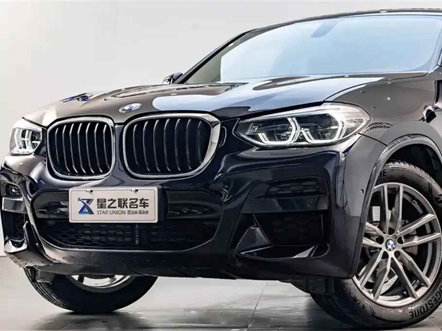 BMW X4 2021 из CN, фото 3