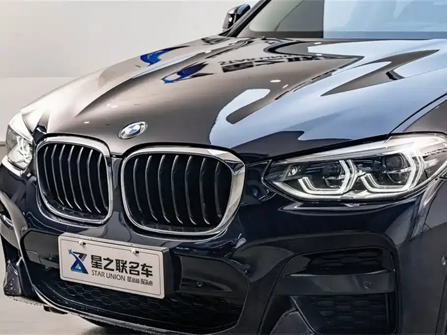 BMW X4 2021 из CN, фото 5