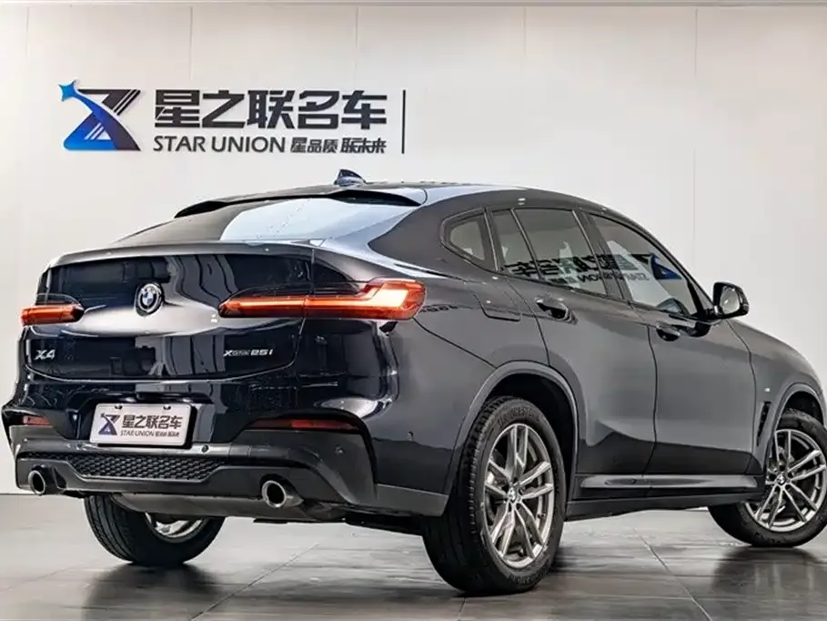 BMW X4 2021 из CN, фото 8