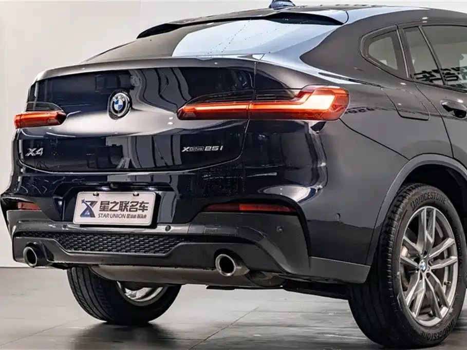 BMW X4 2021 из CN, фото 9