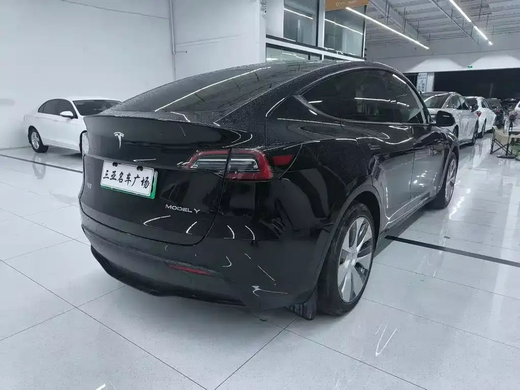 Tesla Model Y 2022 из CN, фото 6