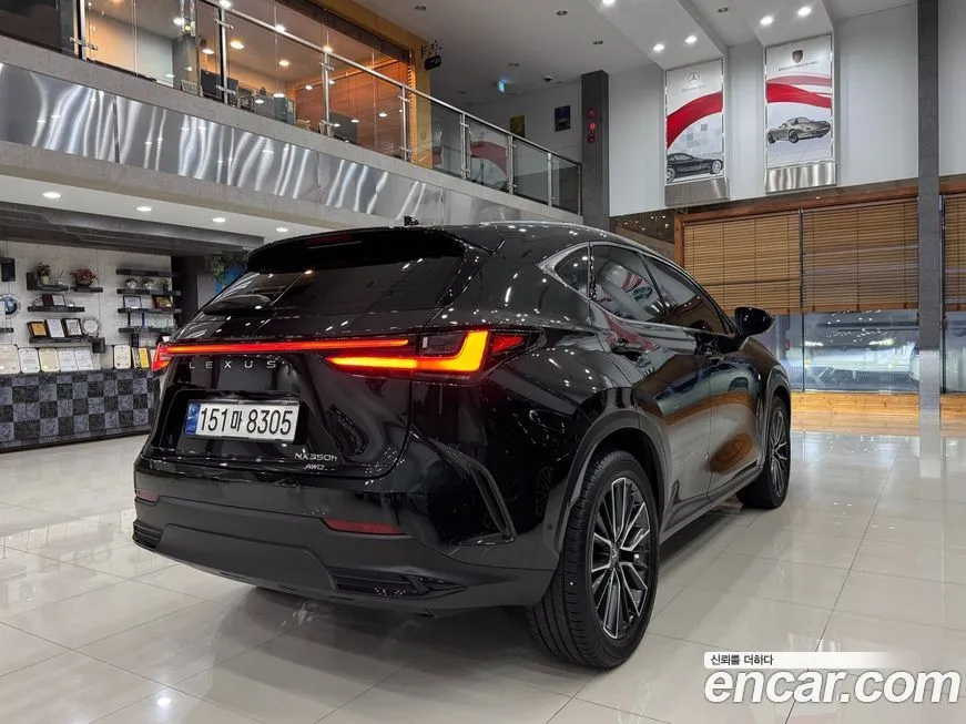 Lexus NX 2024 из KR, фото 2
