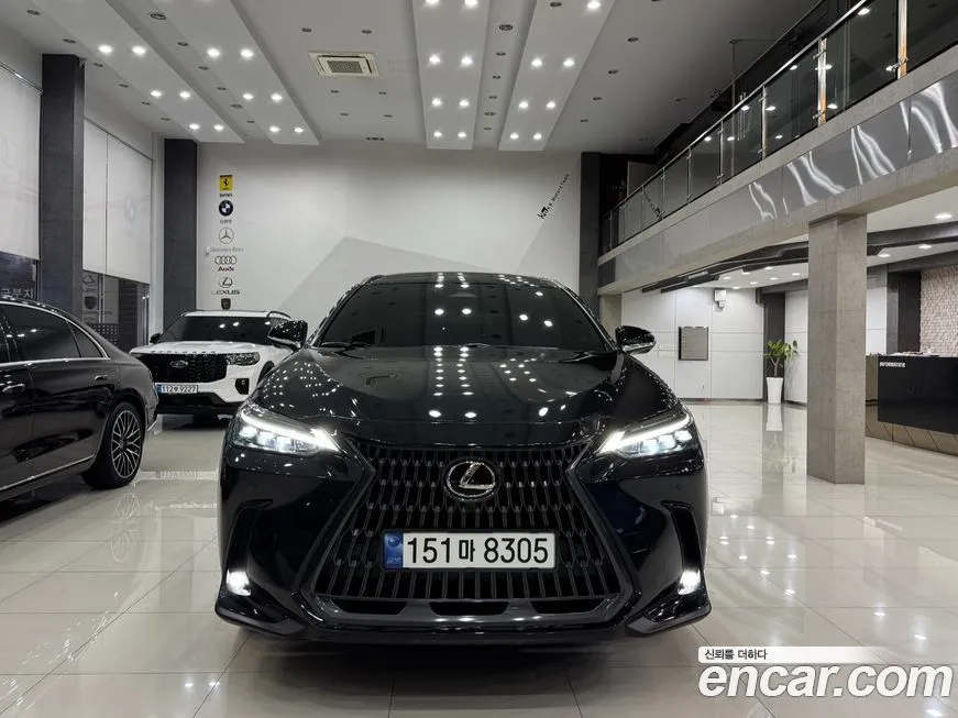 Lexus NX 2024 из KR, фото 3
