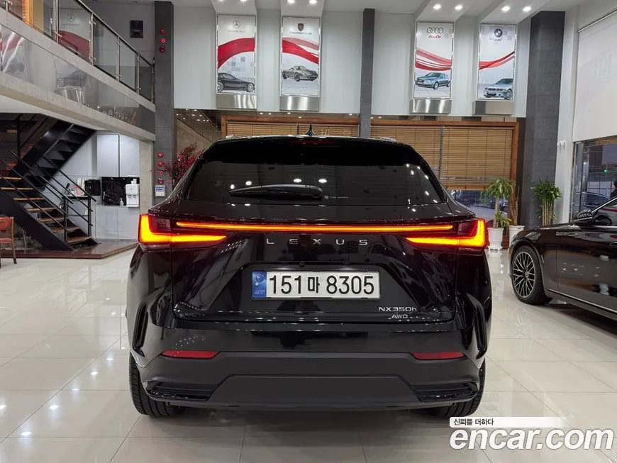 Lexus NX 2024 из KR, фото 4