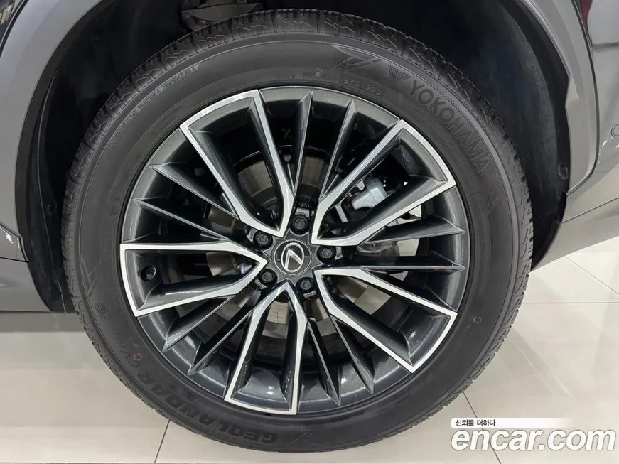 Lexus NX 2024 из KR, фото 5