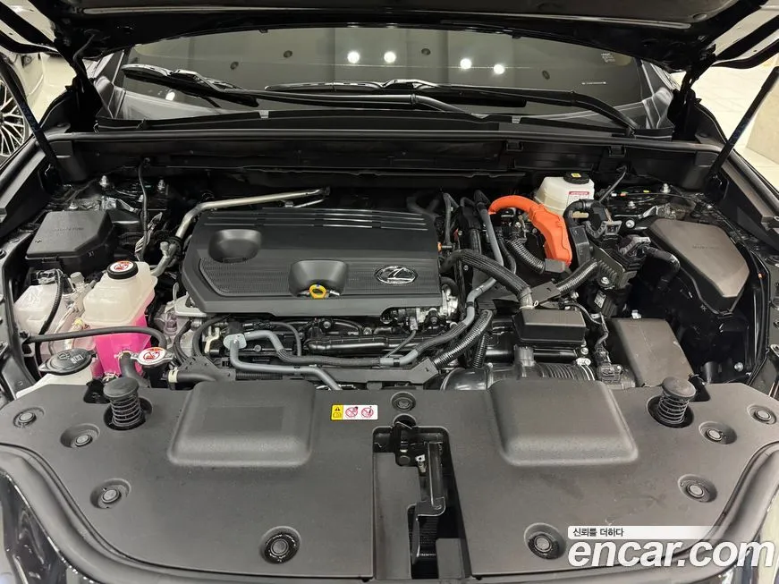 Lexus NX 2024 из KR, фото 6