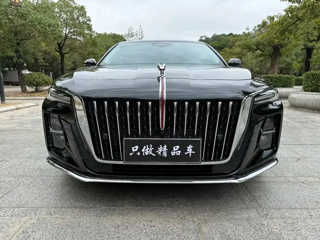 Hongqi H5 2023 из CN, фото 2