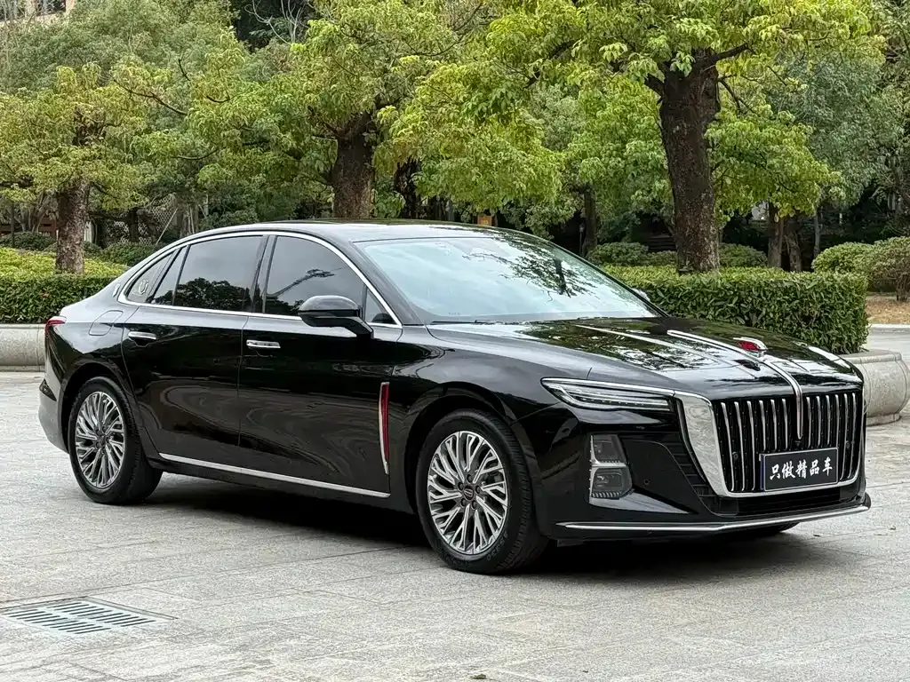 Hongqi H5 2023 из CN, фото 3