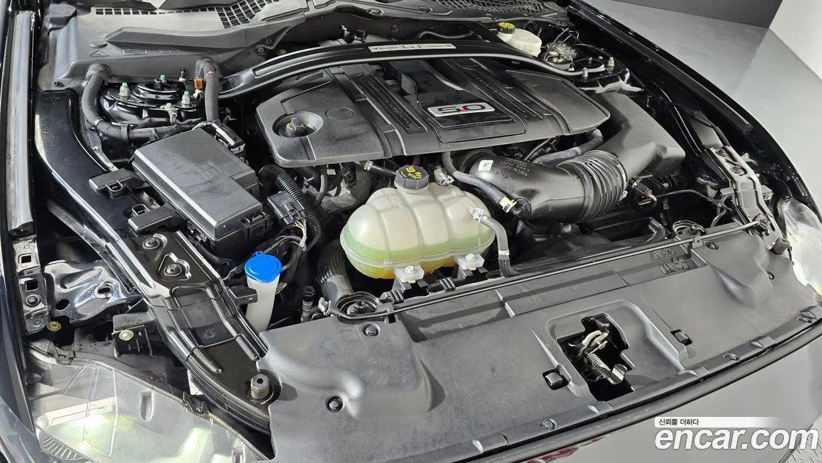 Ford Mustang 2022 из KR, фото 6