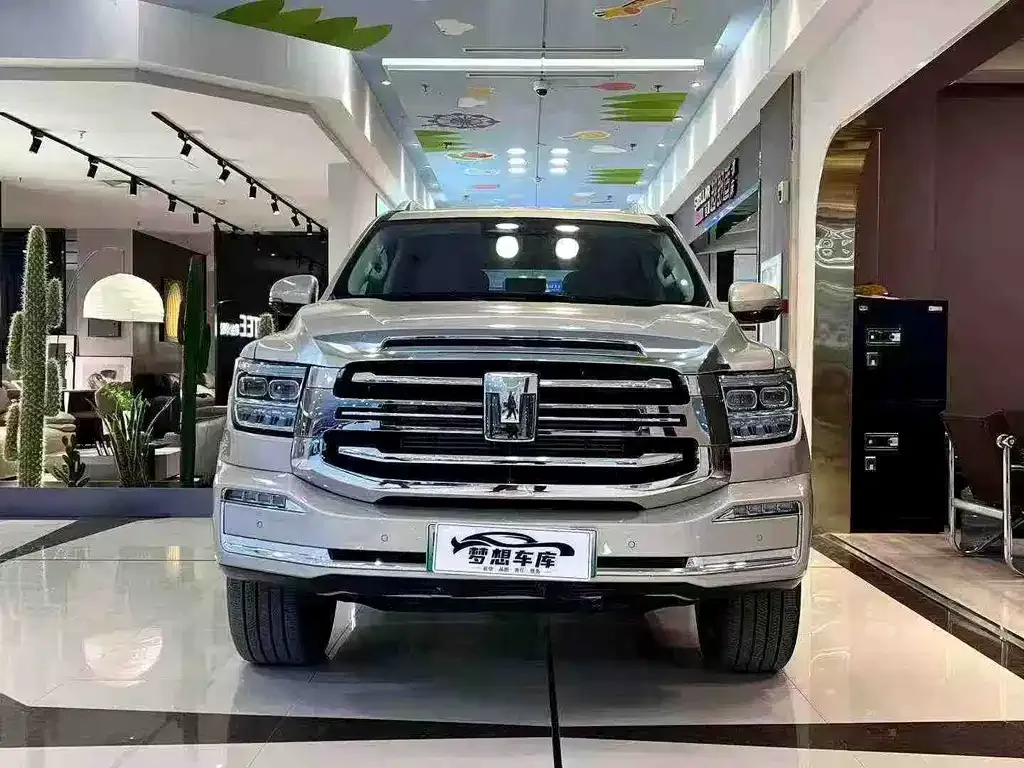 Tank 500 New Energy 2023 из CN, фото 2