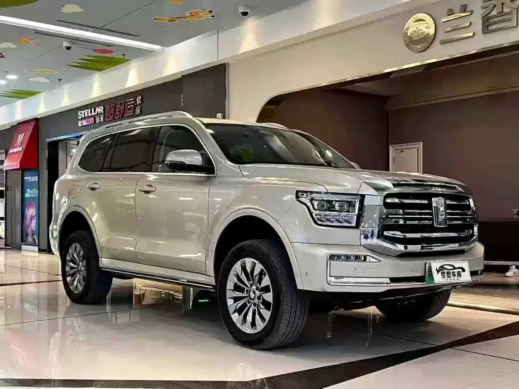 Tank 500 New Energy 2023 из CN, фото 3