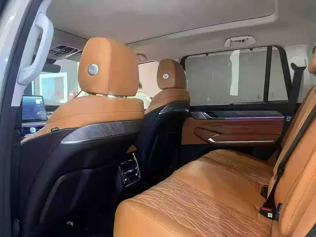 Tank 500 New Energy 2023 из CN, фото 6