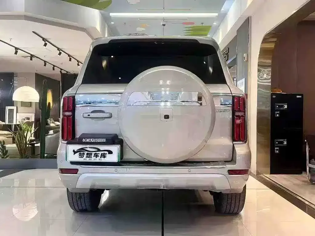 Tank 500 New Energy 2023 из CN, фото 8