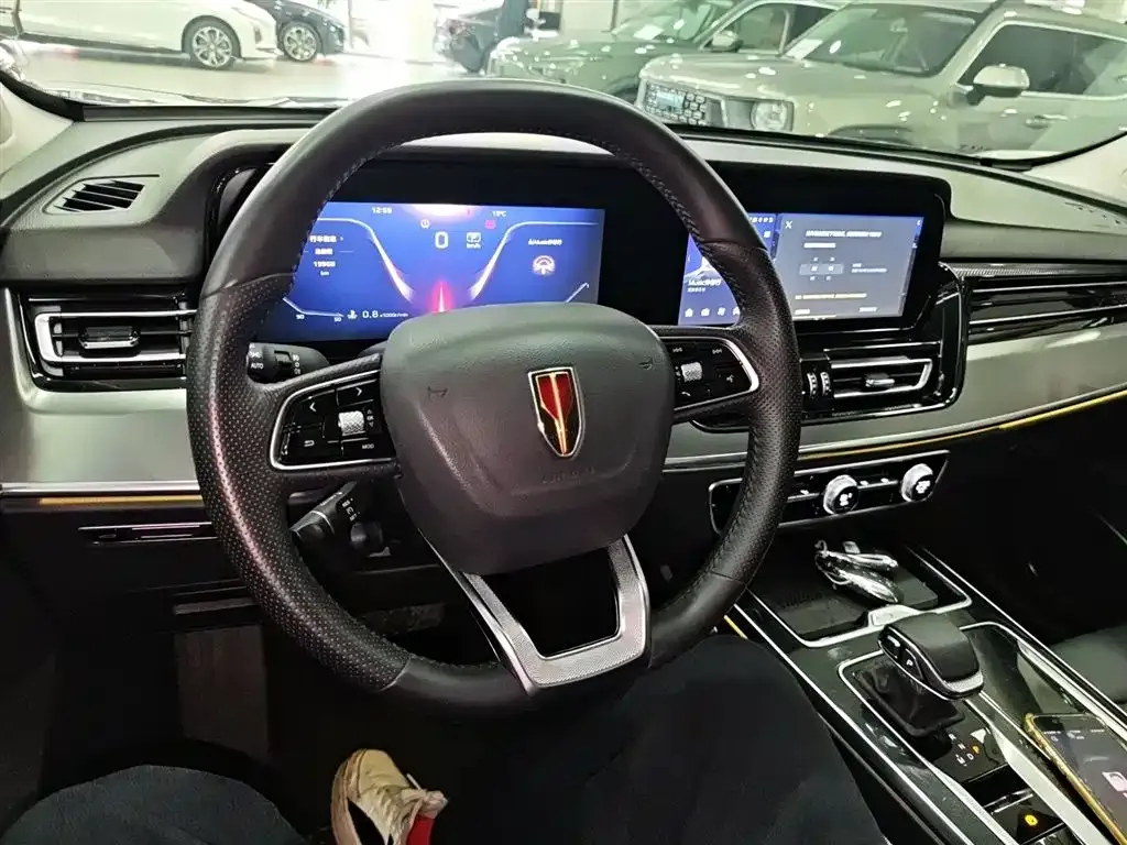 Hongqi HS5 2024 из CN, фото 10