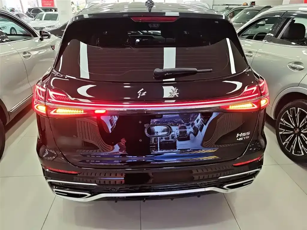 Hongqi HS5 2024 из CN, фото 6