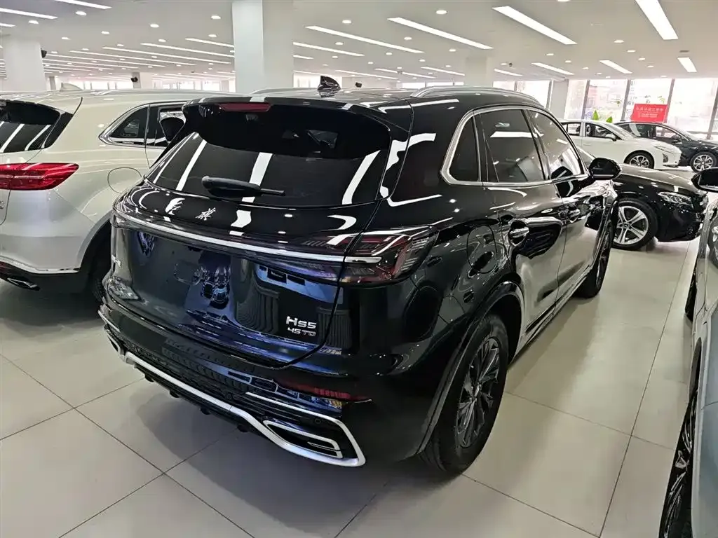 Hongqi HS5 2024 из CN, фото 7