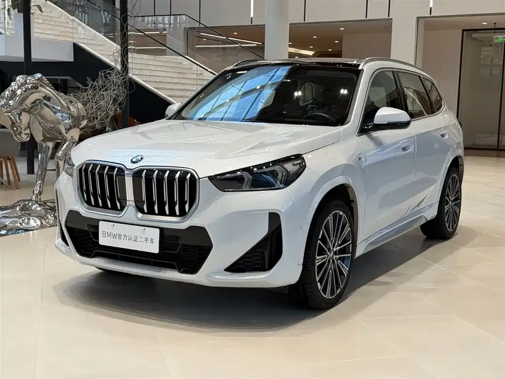 BMW X1 — фото 1