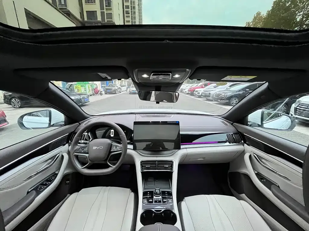 BYD PLUS New Energy 2025 из CN, фото 4