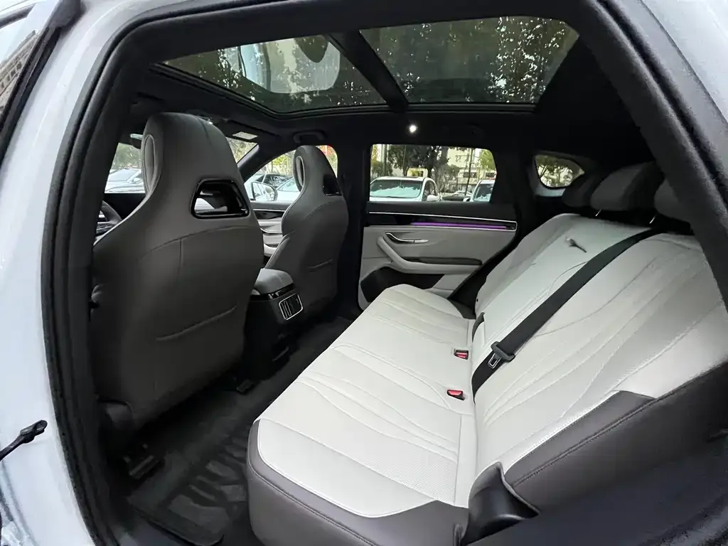 BYD PLUS New Energy 2025 из CN, фото 6