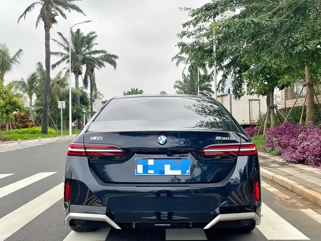 BMW 5 Series 2025 из CN, фото 8