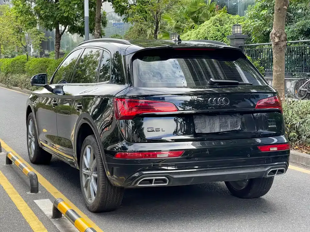 Audi Q5L 2025 из CN, фото 9