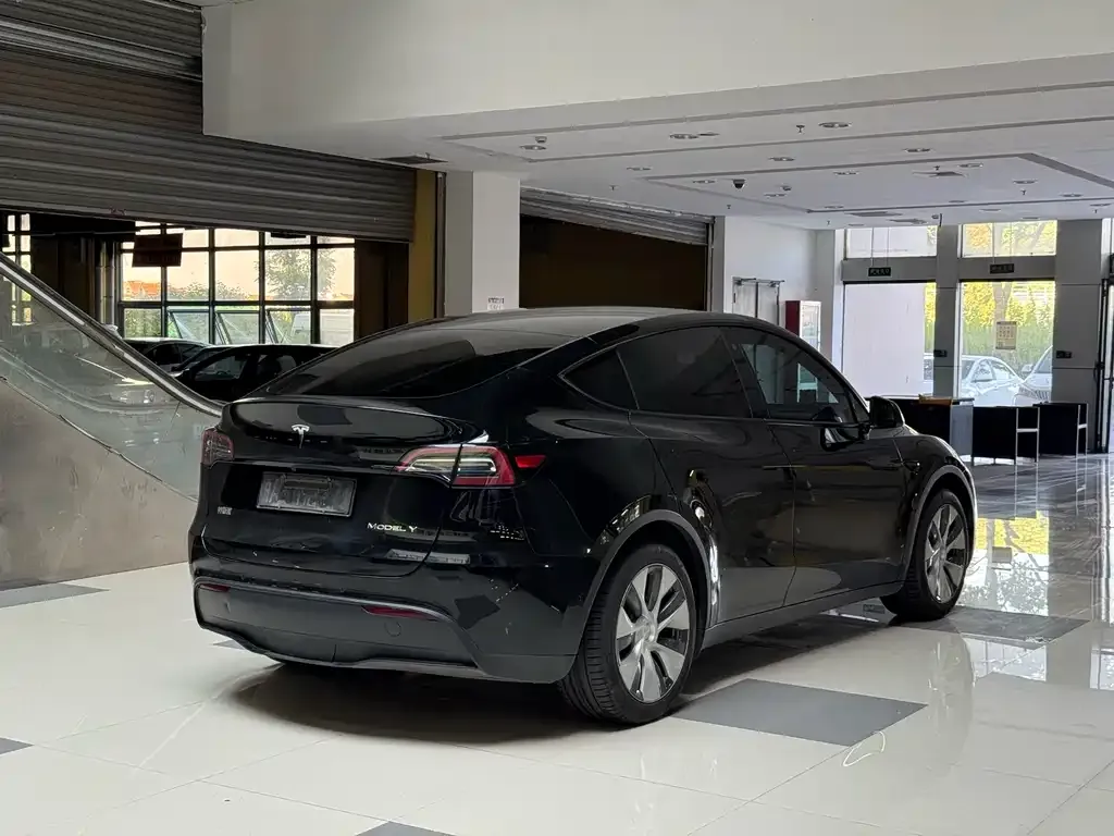 Tesla Model Y — фото 9