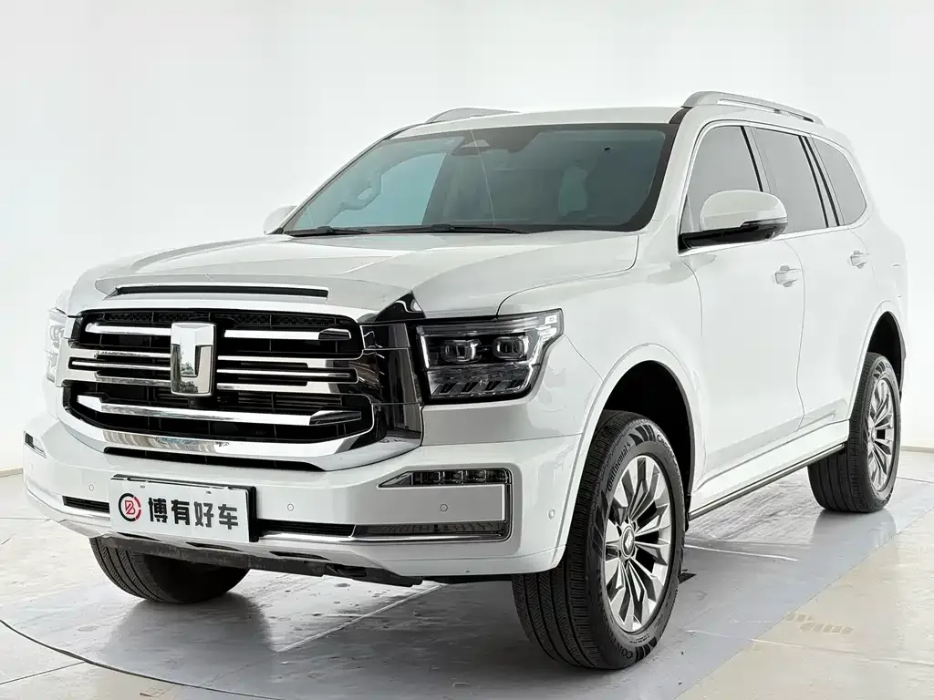 Tank 500 New Energy 2023 из CN, фото 1
