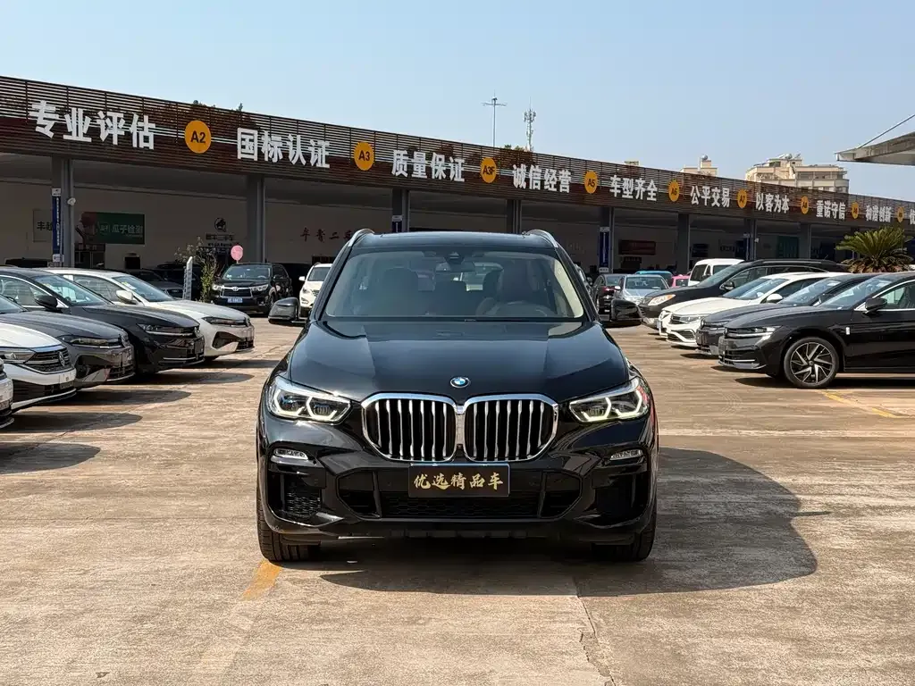 BMW X5 (Import) 2021 из CN, фото 2