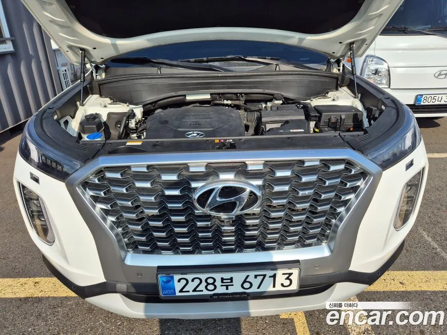 Hyundai Palisade 2021 из KR, фото 6