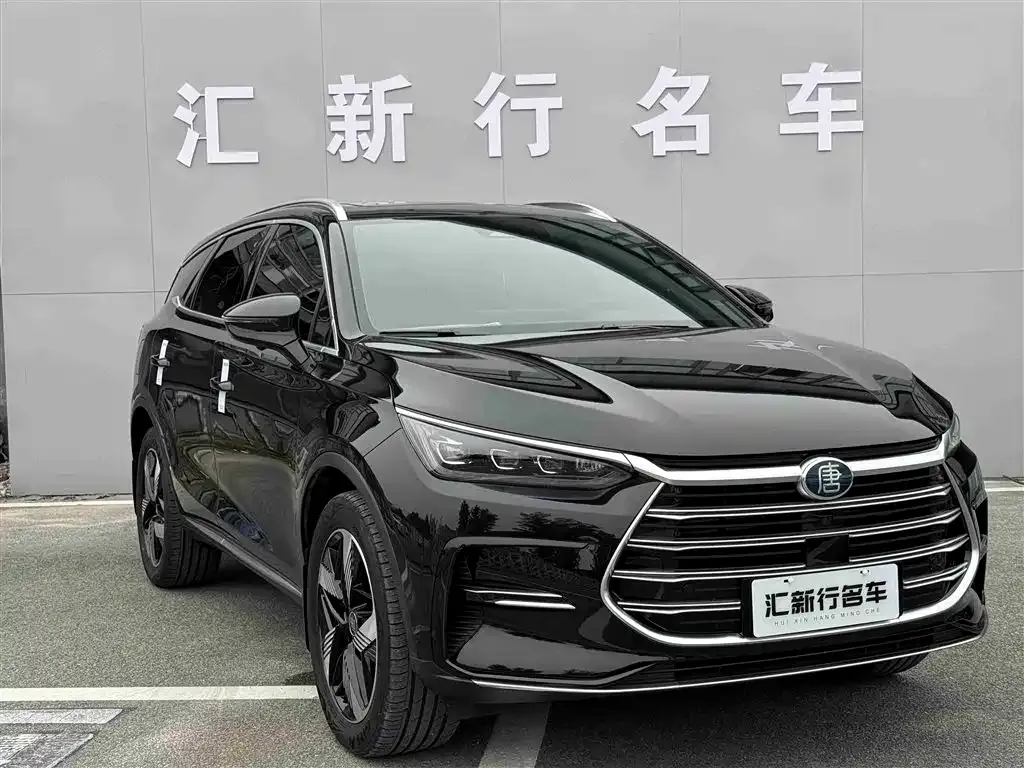 BYD Tang New Energy 2023 из CN, фото 3