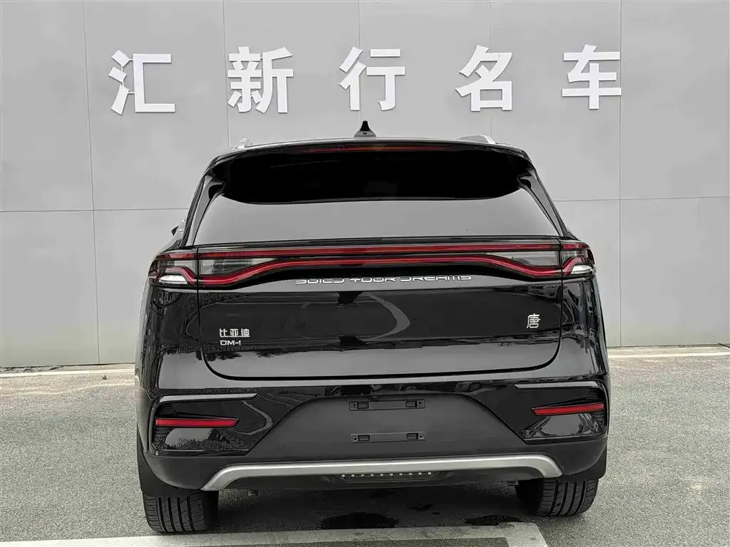 BYD Tang New Energy 2023 из CN, фото 4