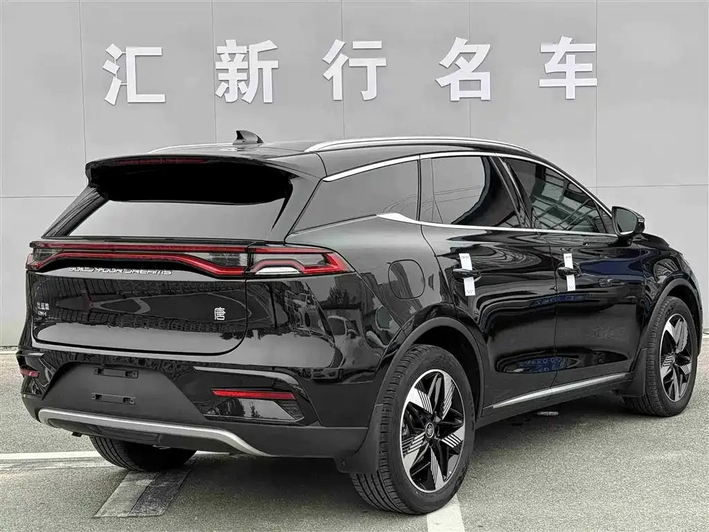 BYD Tang New Energy 2023 из CN, фото 5