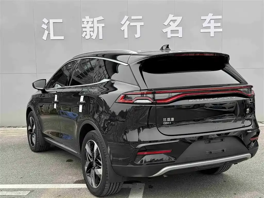 BYD Tang New Energy 2023 из CN, фото 6
