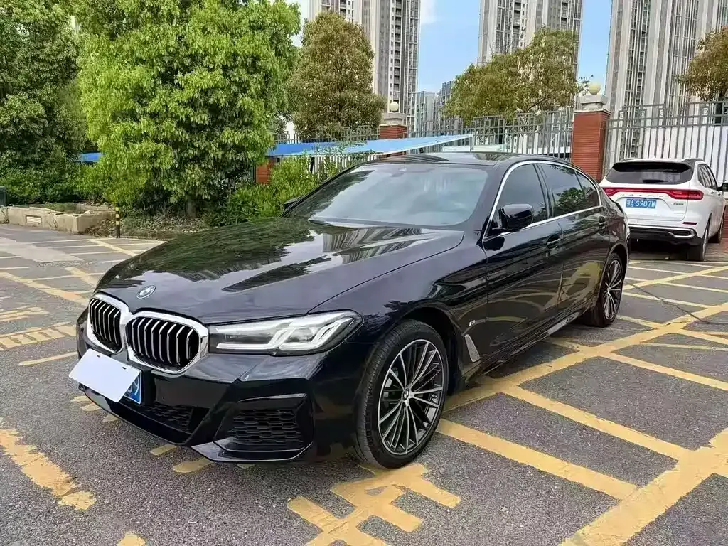 BMW 5 Series 2023 из CN, фото 1