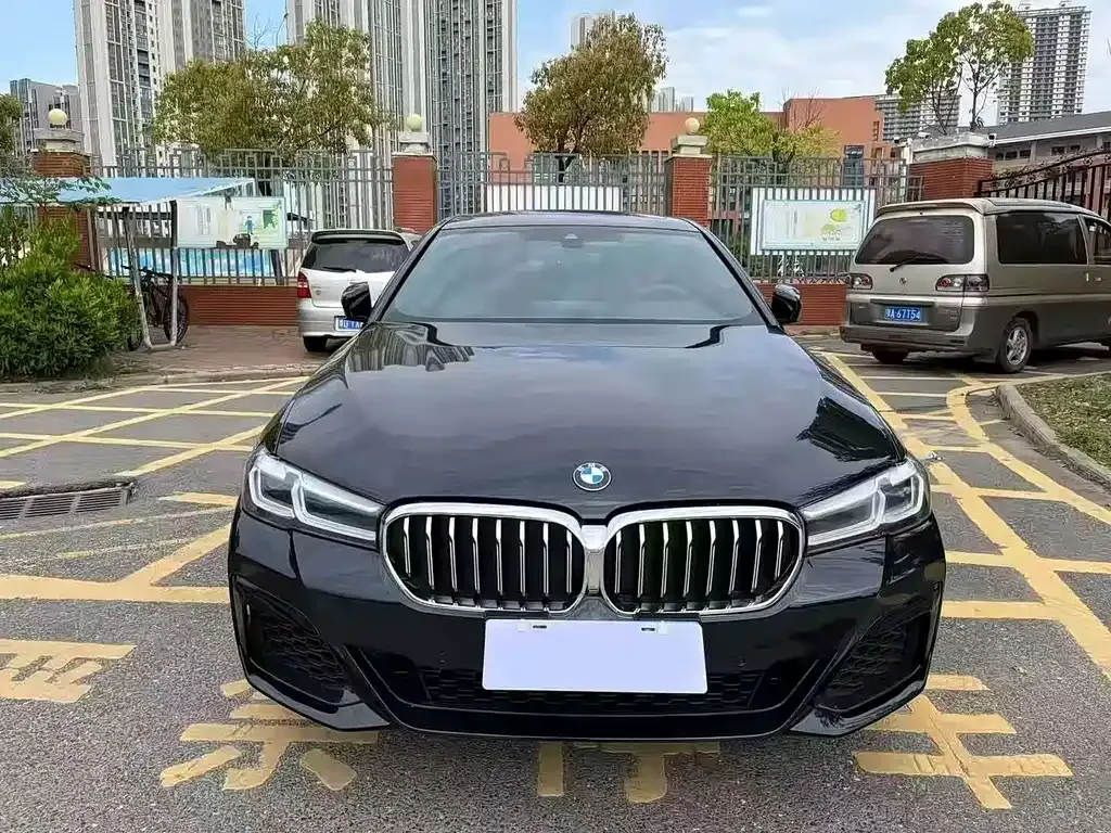 BMW 5 Series 2023 из CN, фото 2