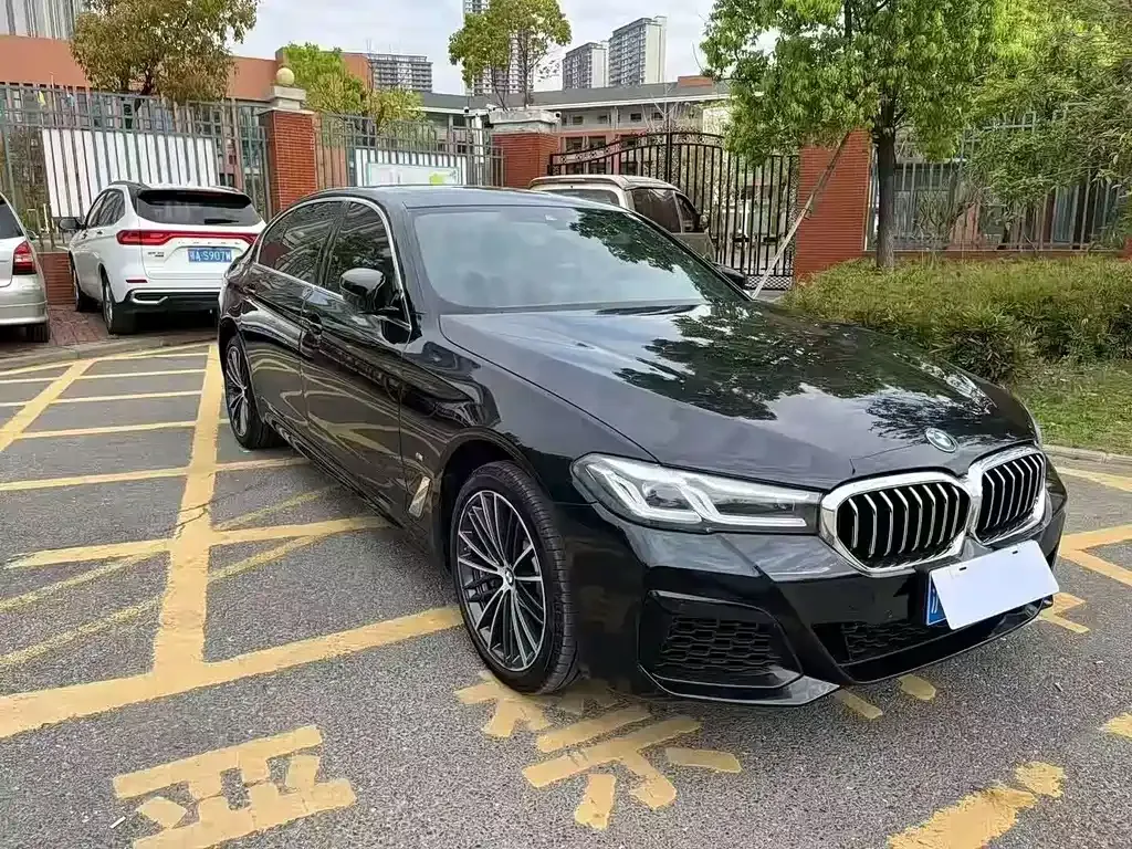 BMW 5 Series 2023 из CN, фото 3