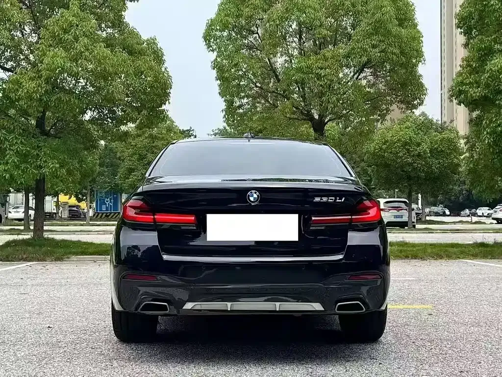 BMW 5 Series 2023 из CN, фото 9