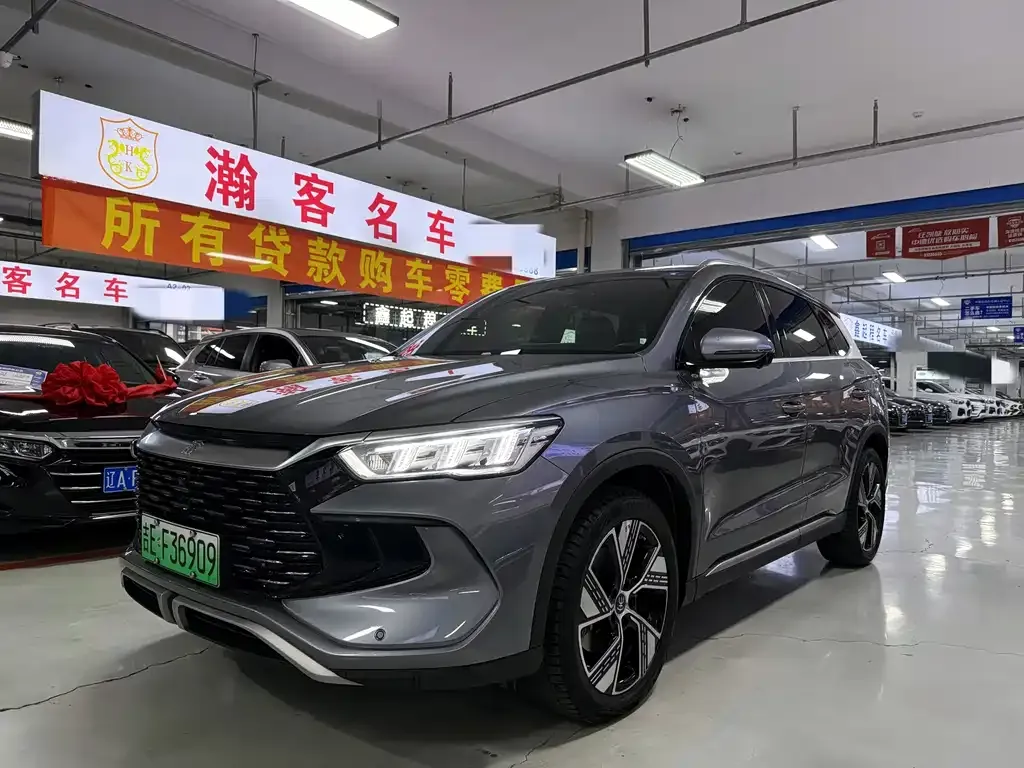 BYD Pro New Energy 2024 из CN, фото 1